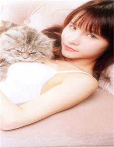 麻豆免费视频,国产精品天干天干有线观看