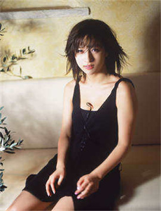 田园将芜
