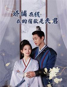 普罗旺斯的夏天