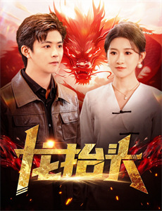 街头霸王:春丽传奇超清中字