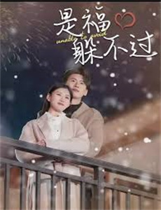 大约是爱 第一季