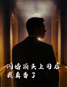 索兰与路德维格的圣诞节