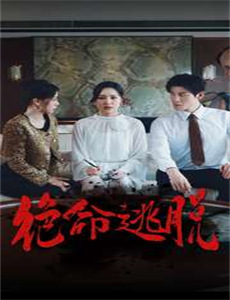 古宝奇缘3之迷踪