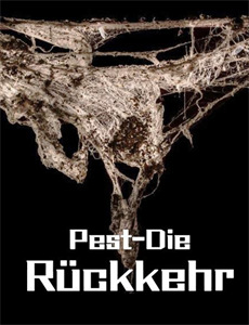 巴黎圣母院浴火重生记