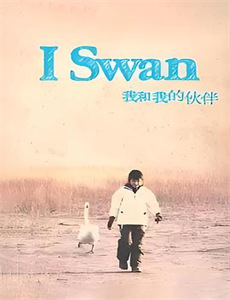 致命弯道6:终极审判